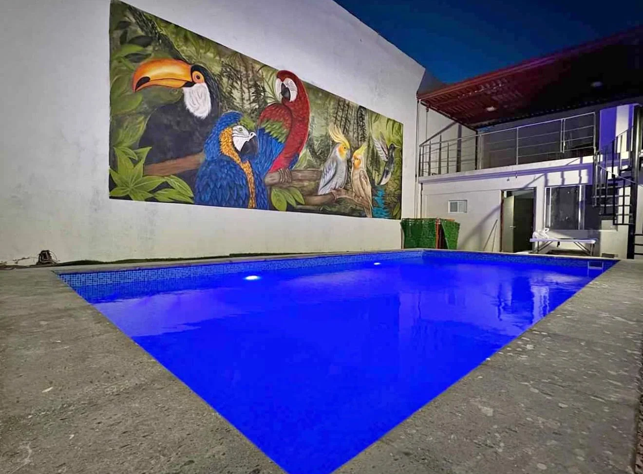 Proyecto Aves - foto 2 de 9