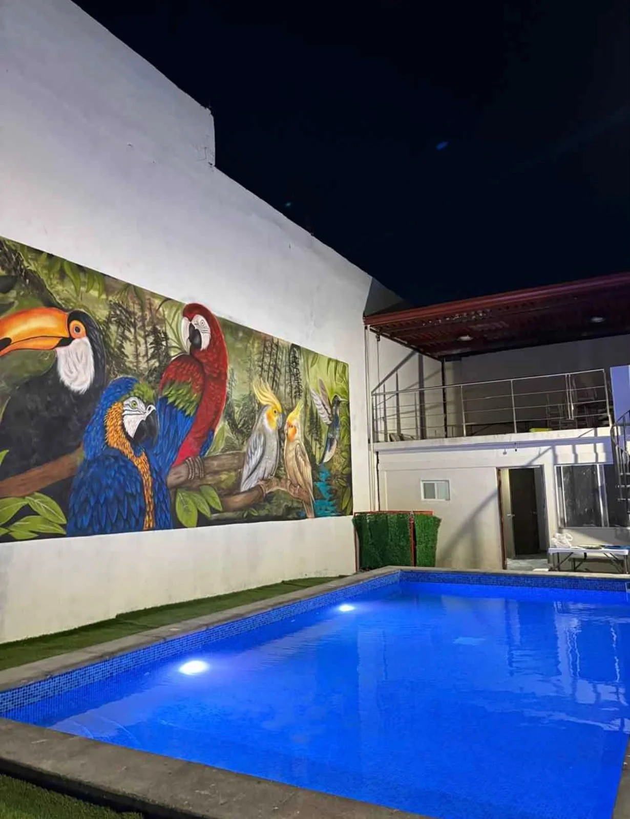 Proyecto Aves - foto 7 de 9